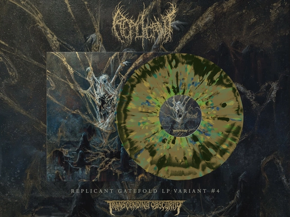 Infinite Mortality Gatefold LP - Variant 4