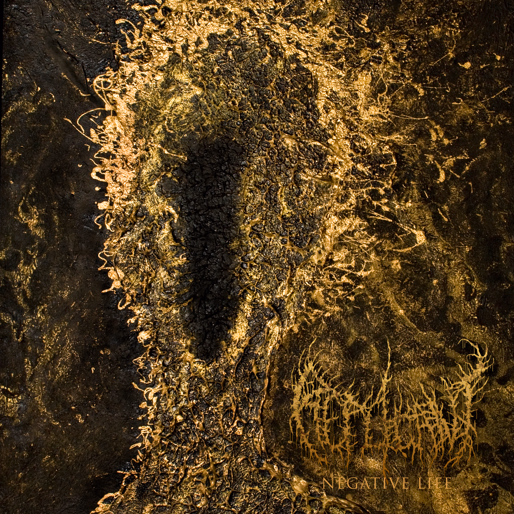 Negative Life Album Cover